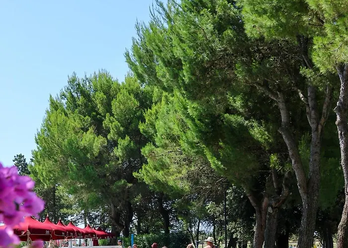 Hotel Il Tridente Hotel 4*