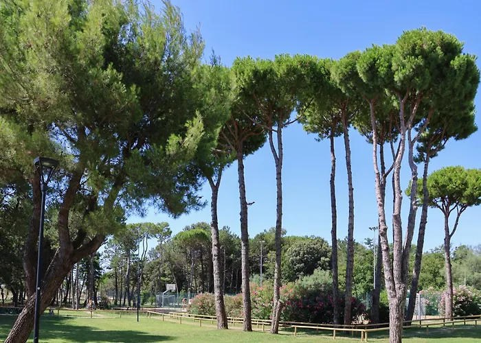 Il Tridente Hotel Bibione