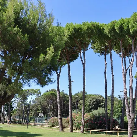 Il Tridente Hotel 比比翁