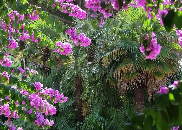 Hotel Il Tridente Hotel 4*